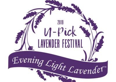 Evening Light Lavender festival shirt 2019